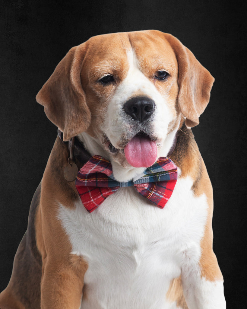 Red Plaid Slider Bow