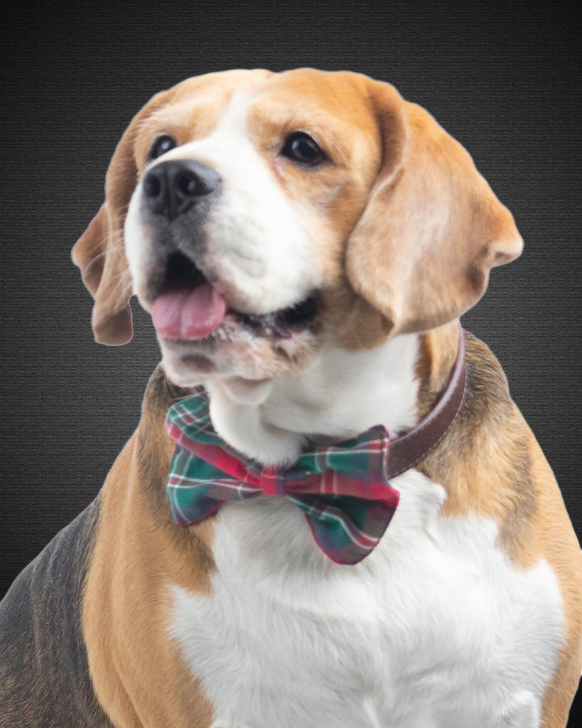 Red And Green Plaid Slider Bow
