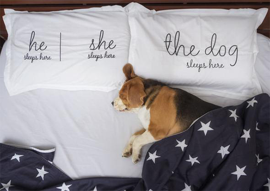 The Dog Life Pillow Cover Set